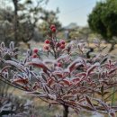 남천주유소 이미지