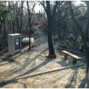 부평구 비타민길 이미지