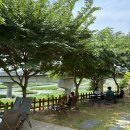 무릉도원면-4 이미지