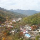 궁근정초 이미지