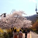 몽앤몽 이미지