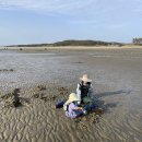 갯벌놀이펜션 이미지