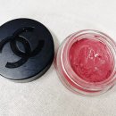 까멜리아 이미지