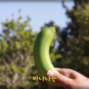 김종태농장 이미지