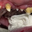 모루 동물의료센터 이미지