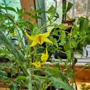 봄농약사 이미지