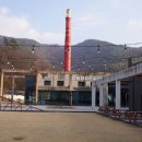 숲속 아지트 이미지