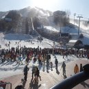 웰리힐리파크 오토캠핑장 이미지