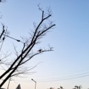 세상에서 가장 쉬운 블로그 글쓰기 이미지