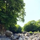 용바위농장 이미지