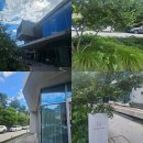 웰빙타운36번길 | 광교 웰빙타운 카페 르디투어 방문기｜분위기 좋은 베이커리 &amp; 커피 후기