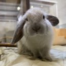 서산아크릴 네이버블로그
