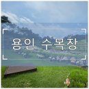 용인 수목장 실제 답사 후기, 분양가와 관리비 솔직 후기