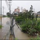 인한농장 이미지