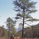 두메산골식당 앞 이미지