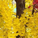 (주)팜스코 이미지