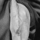 덕정 동물의료센터 이미지