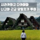 푸른 버들 민속 가무단 | [나고야] 시라카와고 다카야마 당일치기 버스투어 내돈내산 후기