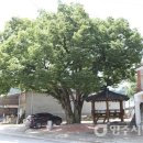 두산2리마을회관 이미지