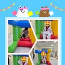 라이온태권도 이미지