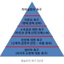 더스노우랩