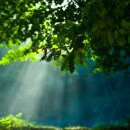 바람이 불어오는 곳 이미지