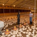 한양농장(2) 이미지