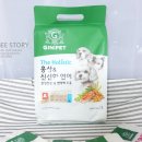 정관장홍삼오산