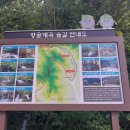 ♡24~08~07강원도 정선 백석산 들머리 항골 숨 바우길 시작 백석산 제3코스 날머리 항골 숨 바우길 계곡 산행 원점산행14km ♡ 이미지