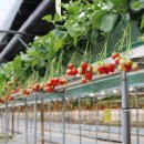 아이와농장 이미지