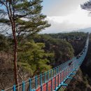 양양목장 이미지