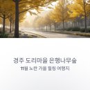 도리 마을회관 | 경주 도리마을 은행나무숲, 노랗게 물든 가을 힐링 여행지