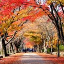 노*수 - 해남군 북부순환로 175 | 노*수