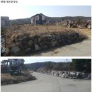 임수형 카카오 검색결과