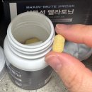 식물성 멜라토닌 추천! 브레인뮤트 시그니처 식물성 멜라토닌 꾸준히 챙겨본 후기 🌙
