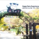 믿음목장 이미지