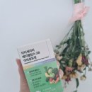 유정환경 | 베지밸런스28 식이섬유정으로 달라진 내 위, 장 컨디션 이야기