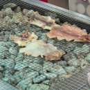 에덴통닭 | [대구 여행 ➀] 서문시장, 에덴김밥, 옥루몽, 뉴욕통닭, 찬앤찬