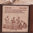 우리염소 이미지