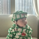 베베드피노 2024 SS 신상 후기 : 6개월 아기 착샷