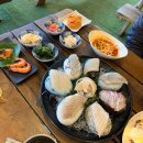 팔도강산 | 강릉 경포대 야장 횟집 팔도강산횟집 주말 방문후기 내돈내산
