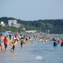 보령