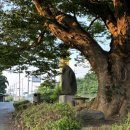 화현관광농원 | 보령 화산동 맛집 추천 화현가든 보령장어맛집