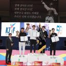 금빛태권도 이미지