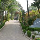 장미공원 주차장 입구 이미지