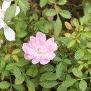 룸비니유치원 이미지