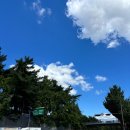계월 더현대서울점 | 더현대서울맛집 마유유마라탕 / 계월 더현대 서울점 내돈내산 후기