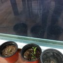 천성지역아동센터 이미지