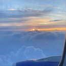 더치맥 h | 파라타 항공(인천-다낭) 임산부 후기