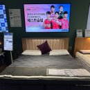 양현로 | 내돈내산 신혼 매트리스 구매 베스트슬립 분당본점 방문 Z10 구매후기 꿀팁까지